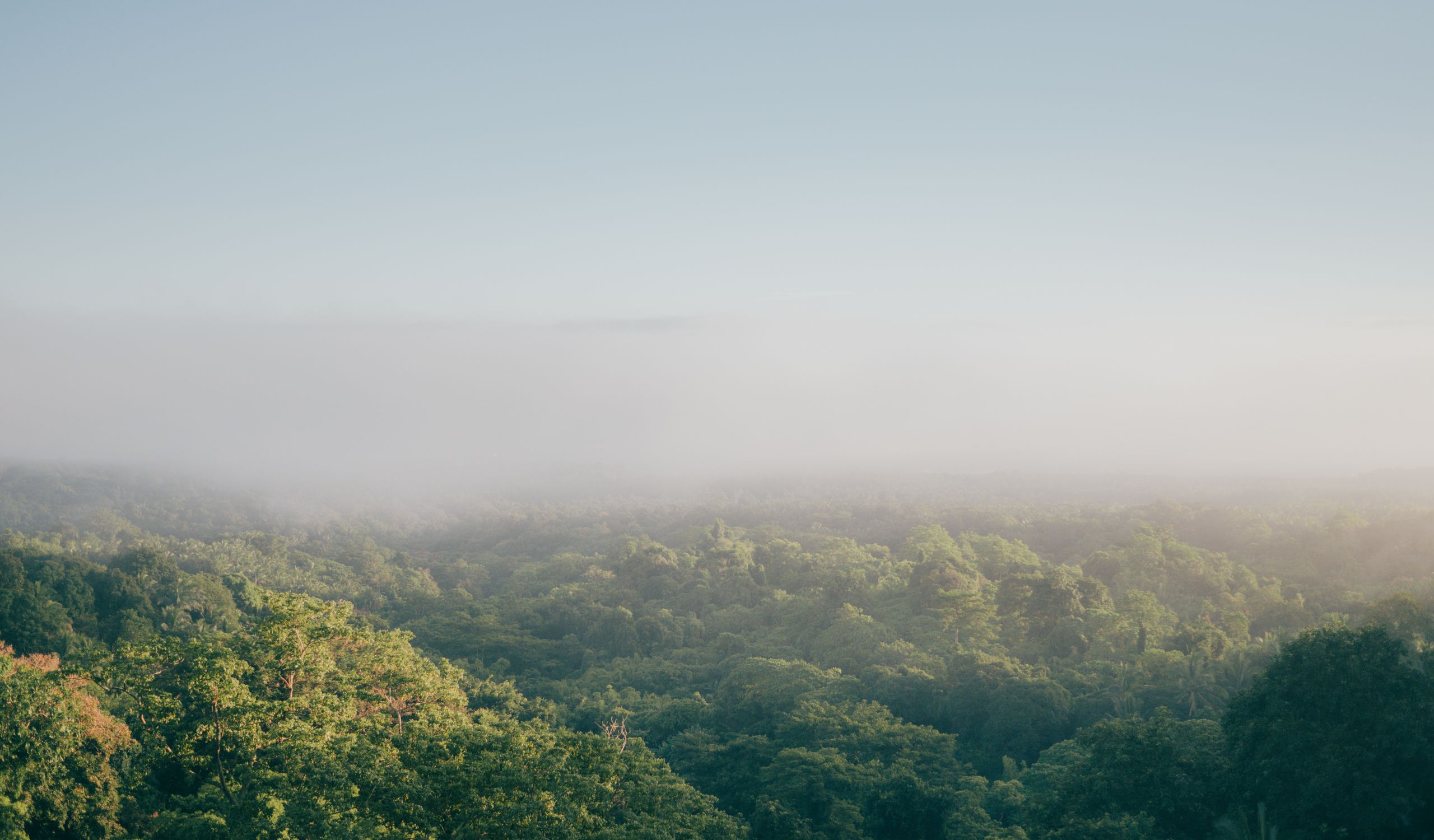 hero (2560 x 1500 px) (17).jpg