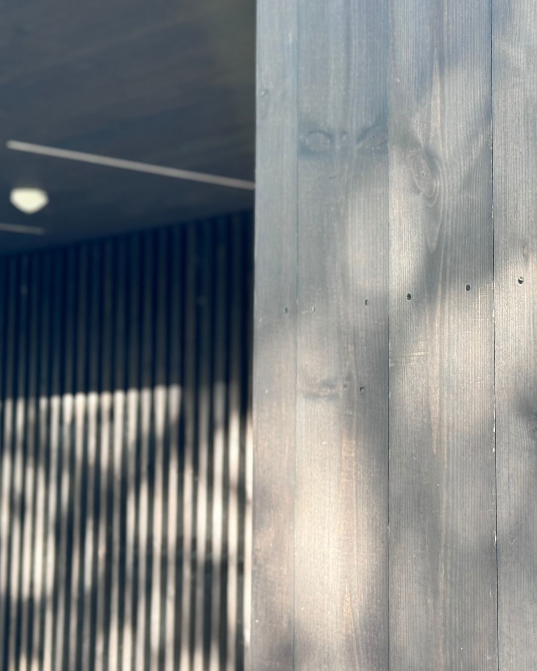 Namnlös design (13).jpg