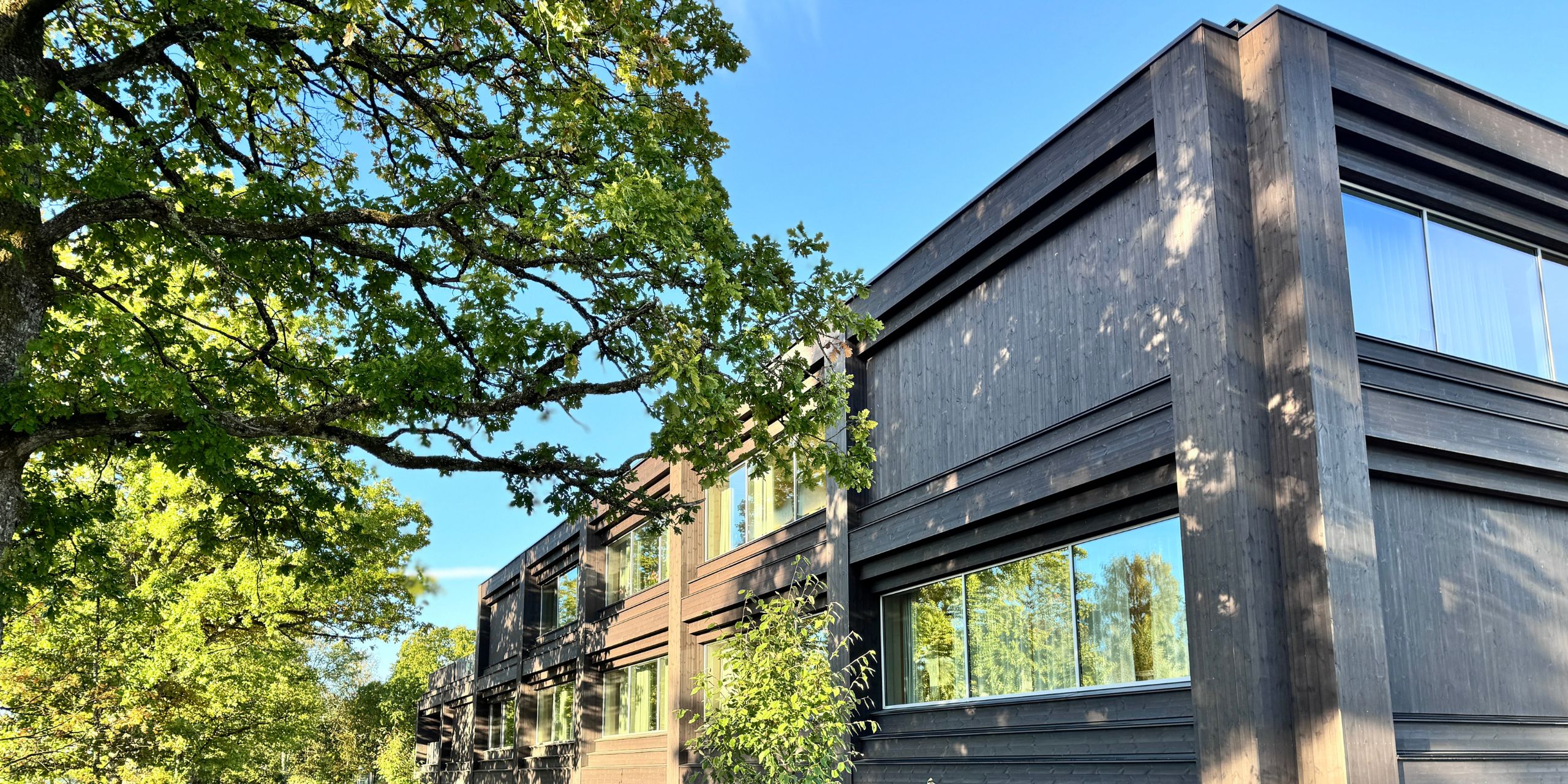 Namnlös design (15).jpg